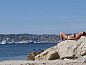 Unterkunft 04886831 • Ferienhaus Provence / Cote d'Azur • Azur aan zee  • 10 von 26