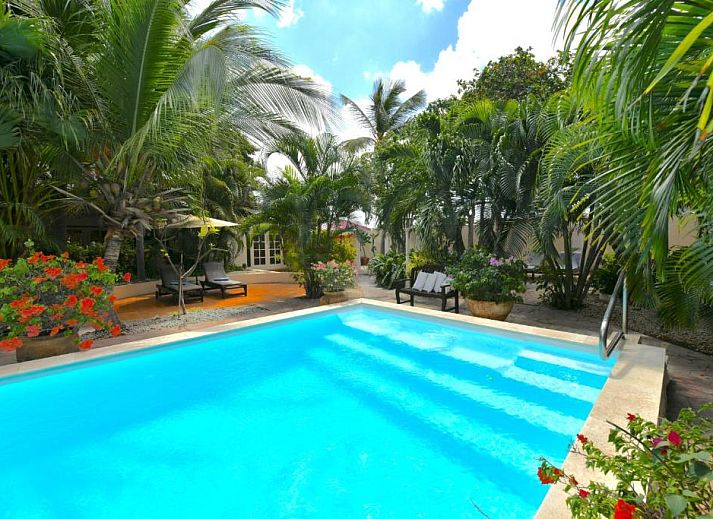 Verblijf 0121905 • Vakantie appartement Aruba • Wonders Boutique Hotel 