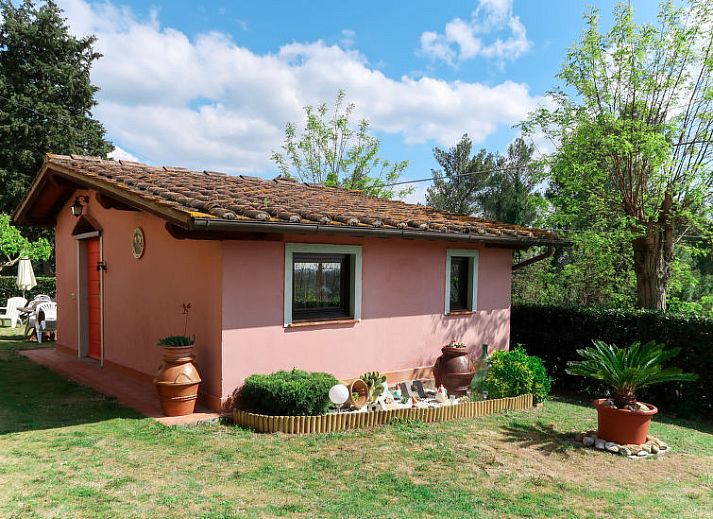 Guest house 09531907 • Holiday property Tuscany / Elba • Vakantiehuis L'Uccelliera 