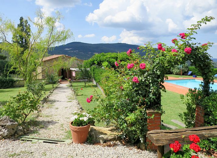 Guest house 09559409 • Holiday property Tuscany / Elba • Vakantiehuis Pino di Sopra 