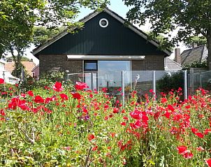 Guest house 040366 • Holiday property Ameland • ALFIT 