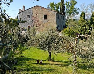 Guest house 09546905 • Holiday property Tuscany / Elba • Vakantiehuisje in Ghizzano 