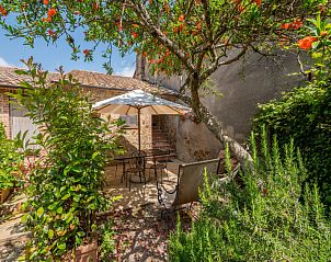 Guest house 09557608 • Holiday property Tuscany / Elba • Vakantiehuis Carola 