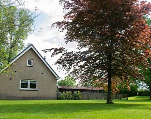 Verblijf 231603 • Vakantiewoning Friese bossen • Vakantiehuisje in Hoornsterzwaag 