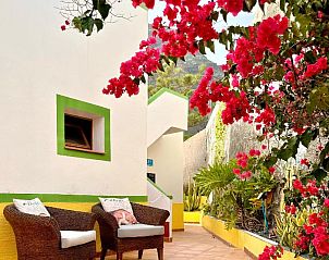 Verblijf 29214401 • Bed and breakfast Canarische Eilanden • Casa Regina Tenerife 
