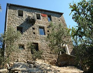 Guest house 4604301 • Holiday property Corsica • Casa Giacometti 